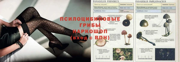 гашик Киреевск