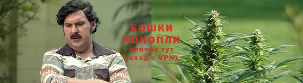гашик Киреевск