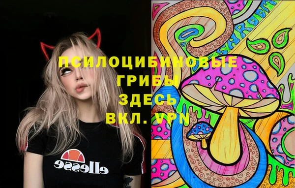 гашик Киреевск